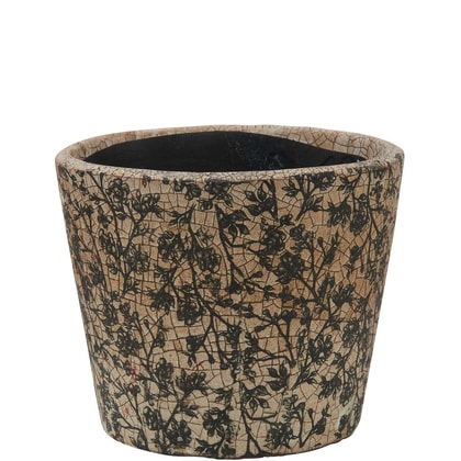 EVERGREEN kaspó fekete rózsa 14cm