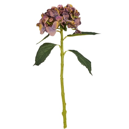 FLORISTA hortenzia levendula 48cm