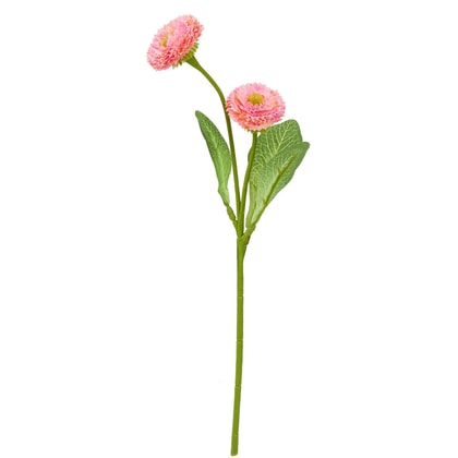 FLORISTA százszorszép rózsa 28cm