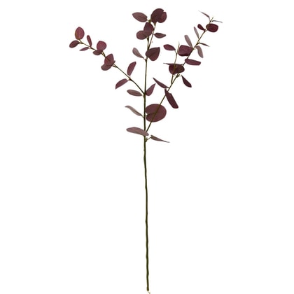 FLORISTA eukaliptusz ág piros 70cm