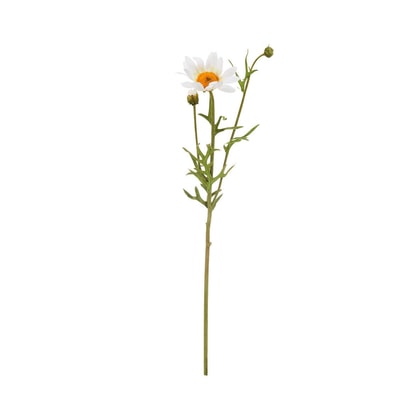 FLORISTA szarkaláb 56 cm