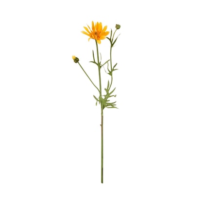 FLORISTA szarkaláb 56 cm