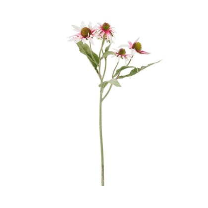 FLORISTA kasvirág, 50 cm