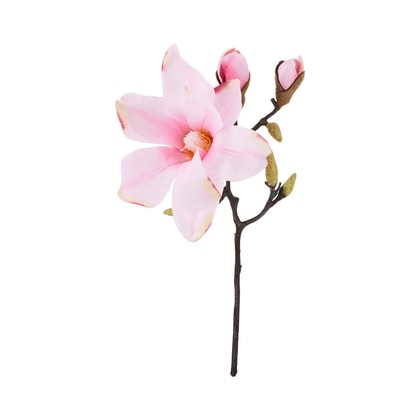 FLORISTA magnolia 33 cm