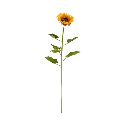 FLORISTA napraforgó 100 cm