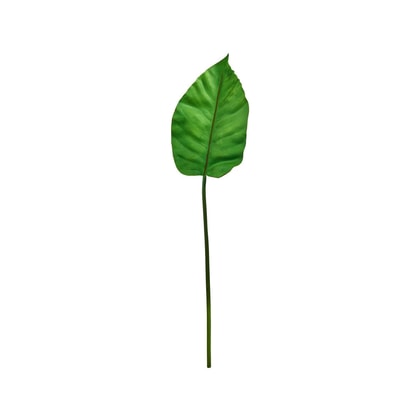 FLORISTA levél, 80 cm